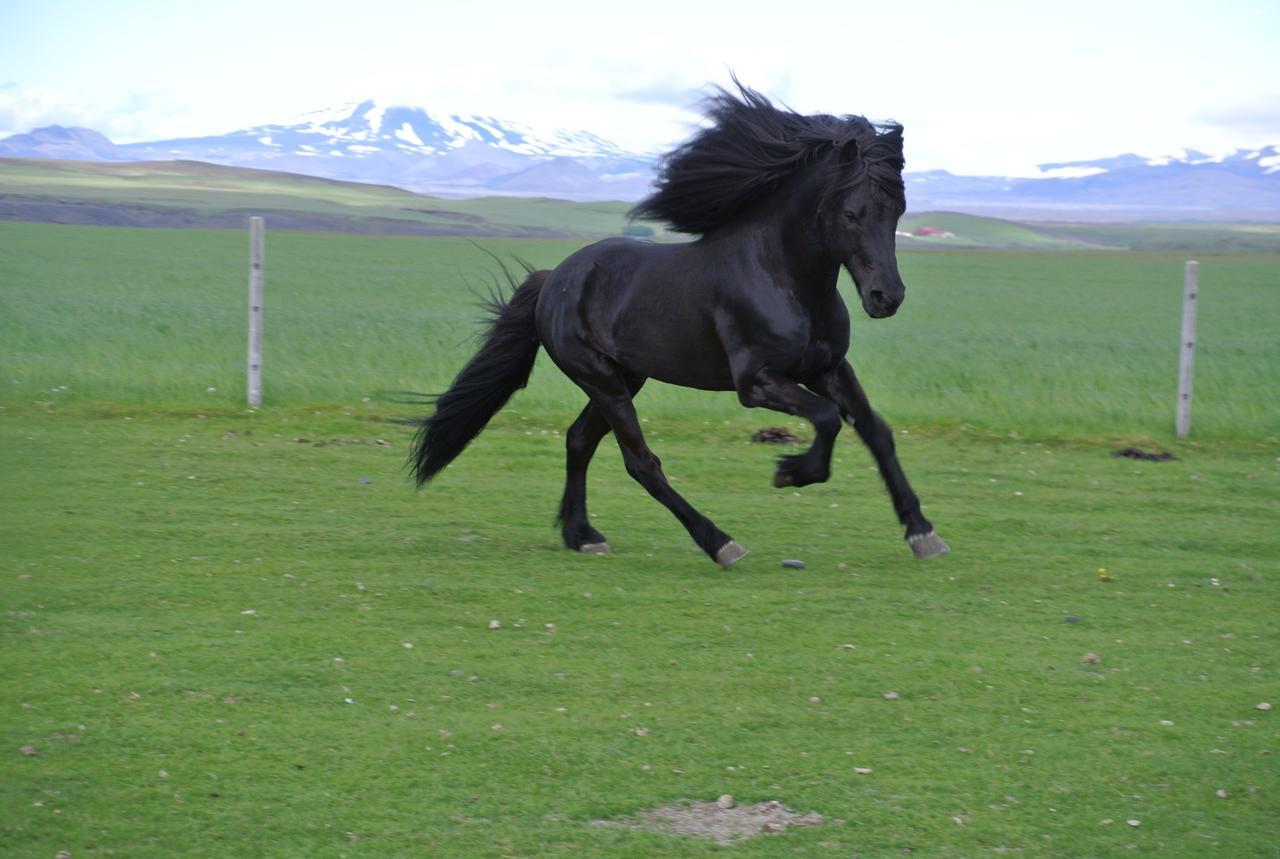 Hekla Adventures Villa Hvolsvollur ภายนอก รูปภาพ