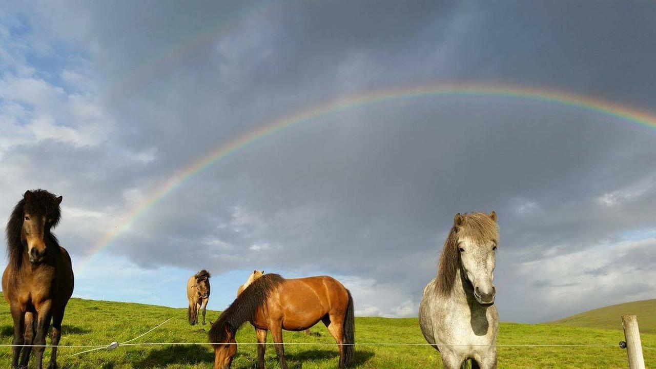 Hekla Adventures Villa Hvolsvollur ภายนอก รูปภาพ